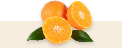 The top opens with the sparkling aroma of Lemon and Mandarin, wrapped with Fresh Ozonic notes and Violet Leaves